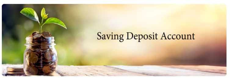 Saving Deposit Account
